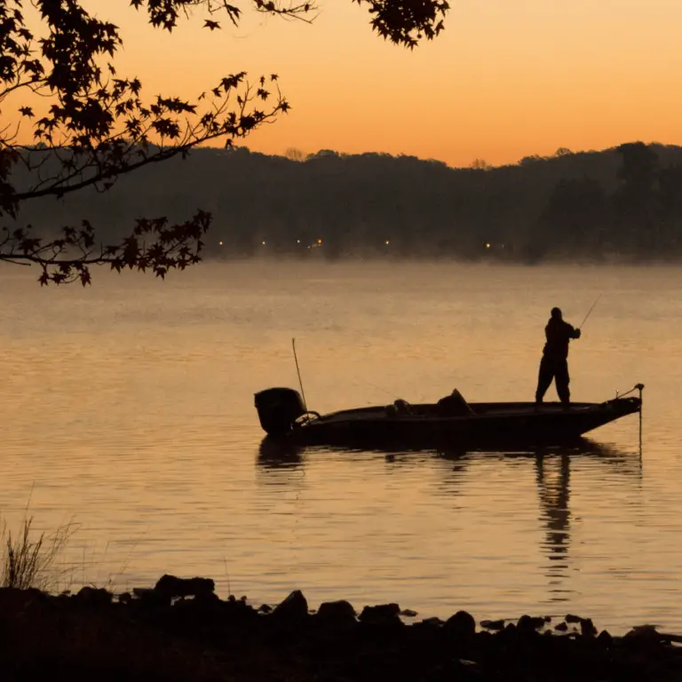 Can Bass See At Night? – Bass Fishing Insider